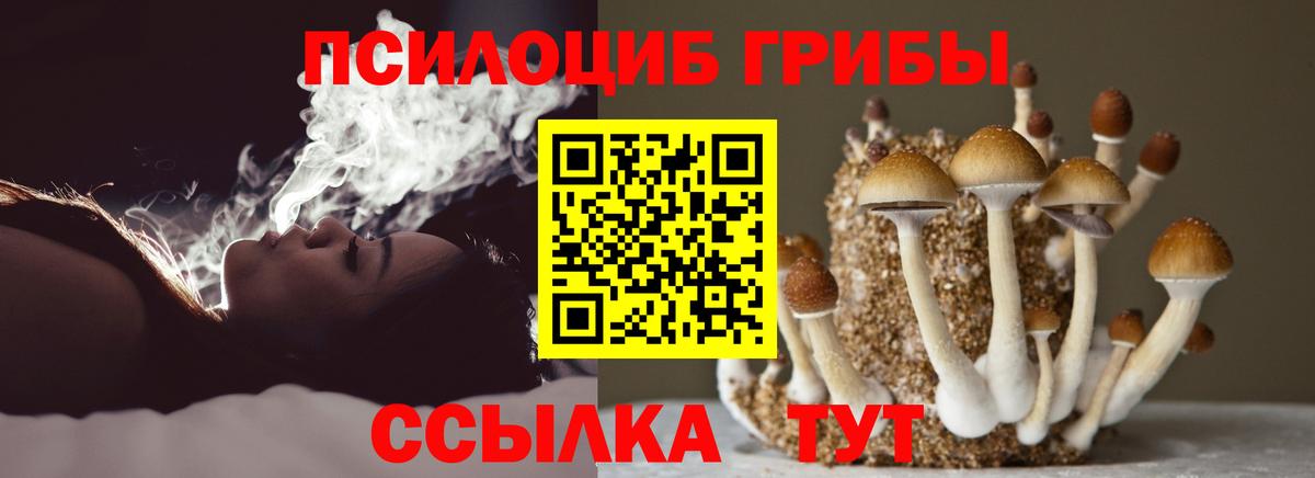 Электросталь  дарнет шоп  Вход с VPN  Псилоцибиновые грибы Psilocybe 